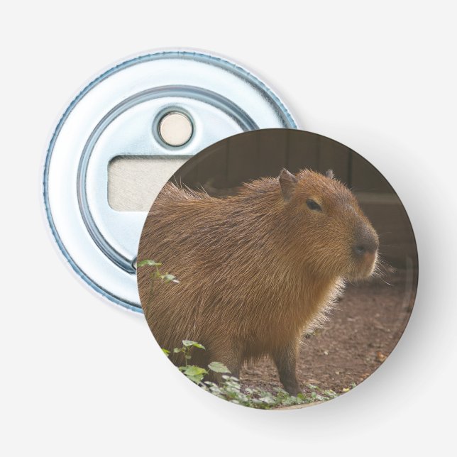 Capybara Flaschenöffner (Vorderseite)
