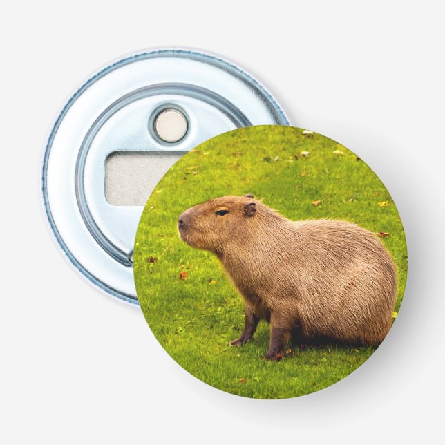 Capybara Flaschenöffner (Vorderseite)