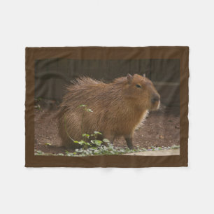 Capybara Fleecedecke
