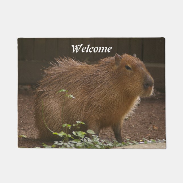 Capybara Fußmatte (Vorderseite)