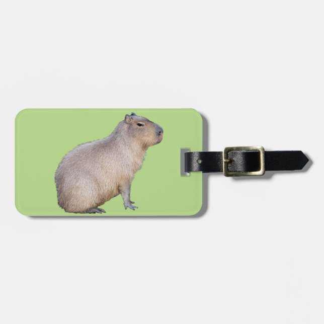 Capybara Gepäckanhänger (Vorderseite horizontal)