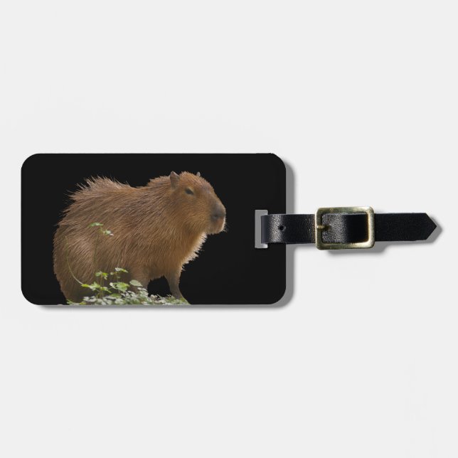 Capybara Gepäckmarke Gepäckanhänger (Vorderseite horizontal)