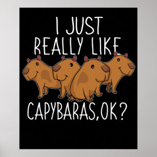 Capybara Geschenk Kinder Frauen Niedlich Capybara Poster