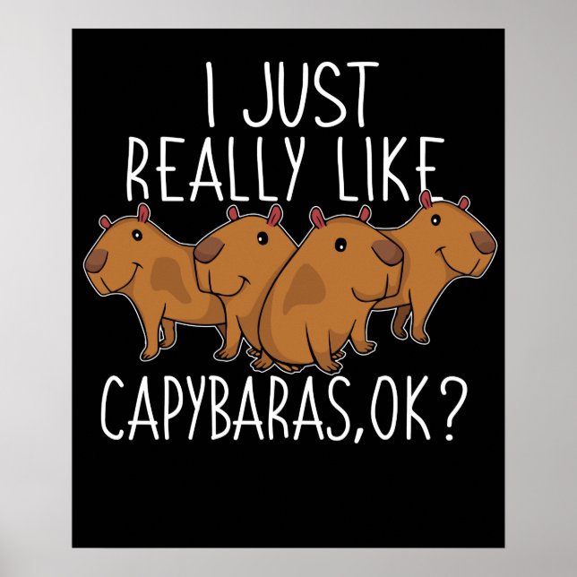 Capybara Geschenk Kinder Frauen Niedlich Capybara Poster (Vorne)