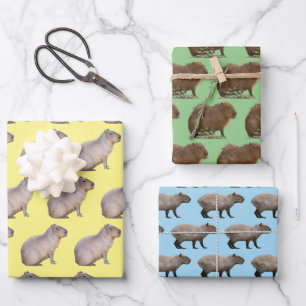 Capybara Geschenkpapier Set