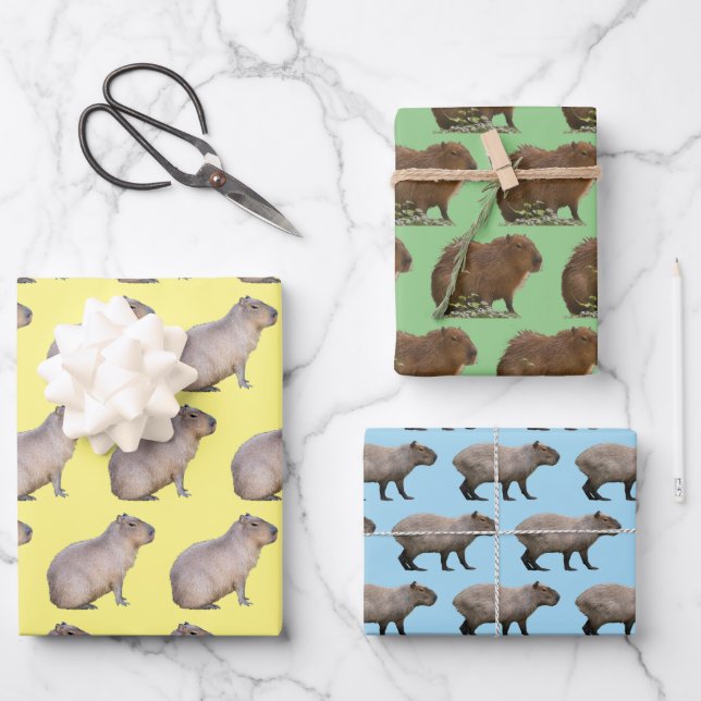 Capybara Geschenkpapier Set (Vorderseite)