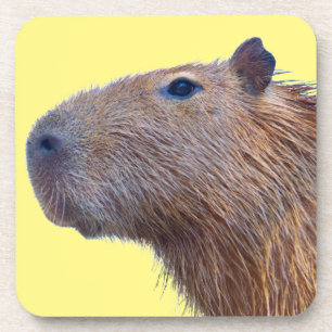 Capybara Getränkeuntersetzer