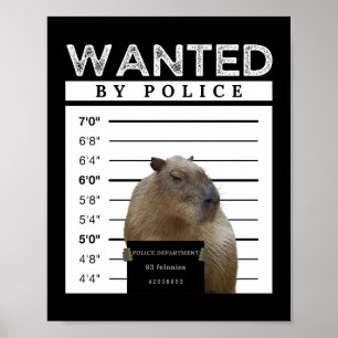 Capybara Gewollt Mugshot Capybara Meme Poster