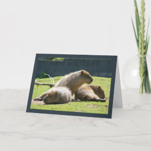 Capybara-Gruß-Karte - Capy Geburtstag Karte