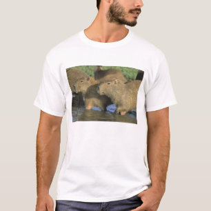 Capybara, Hydrochaeris hydrochaeris), weltweit T-Shirt