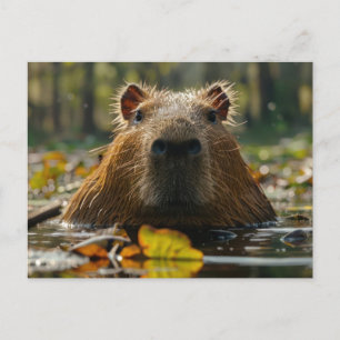 Capybara im Herbst Postkarte