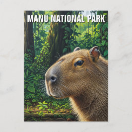 Capybara im Manu-Nationalpark Peru Postkarte