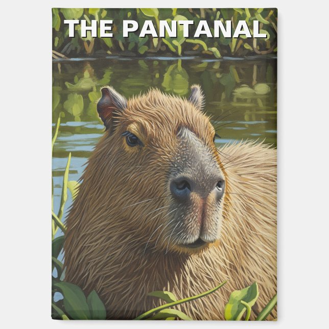 Capybara in The Pantanal Magnet (Vorderseite)
