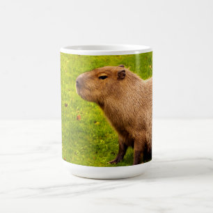 Capybara Kaffeetasse