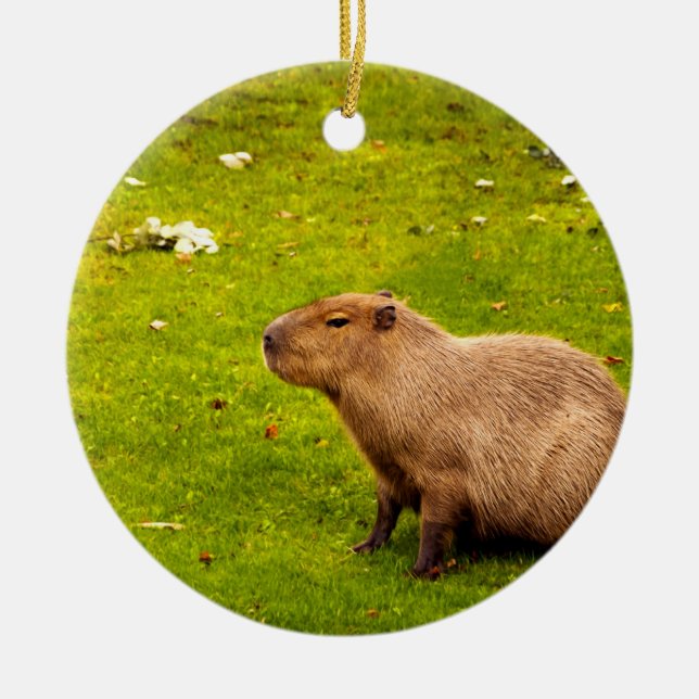 Capybara Keramikornament (Vorne)