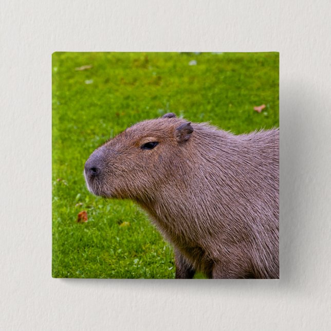 Capybara-Knopf Button (Vorderseite)