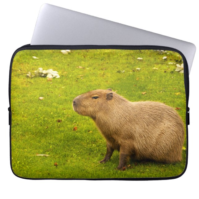 Capybara Laptopschutzhülle (Vorderseite)