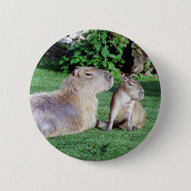 Capybara-Mama und Sohn-Knopf Button (Vorderseite)