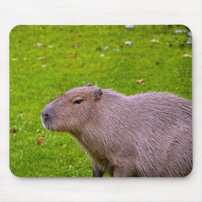 Capybara-Mauspad Mousepad (Vorne)