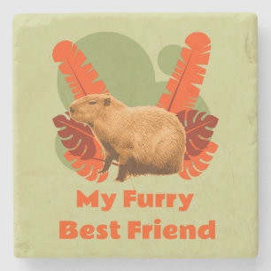 Capybara Mein Felliger Bester Freund Steinuntersetzer