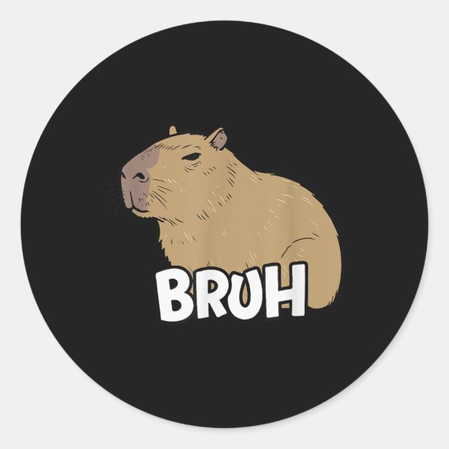 Capybara Meme Sprichwort Bruh mit Capybara Boys Gi Runder Aufkleber (Vorderseite)