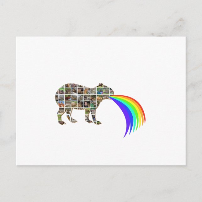 Capybara mit Regenbogen Postkarte (Vorderseite)