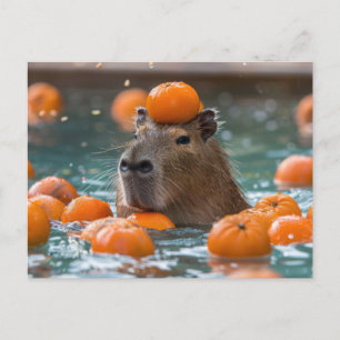 Capybara mit schwimmenden Orangen Postkarte