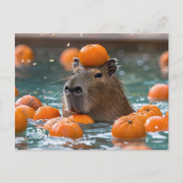 Capybara mit schwimmenden Orangen Postkarte (Vorderseite)
