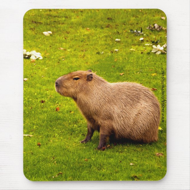 Capybara Mousepad (Vorne)