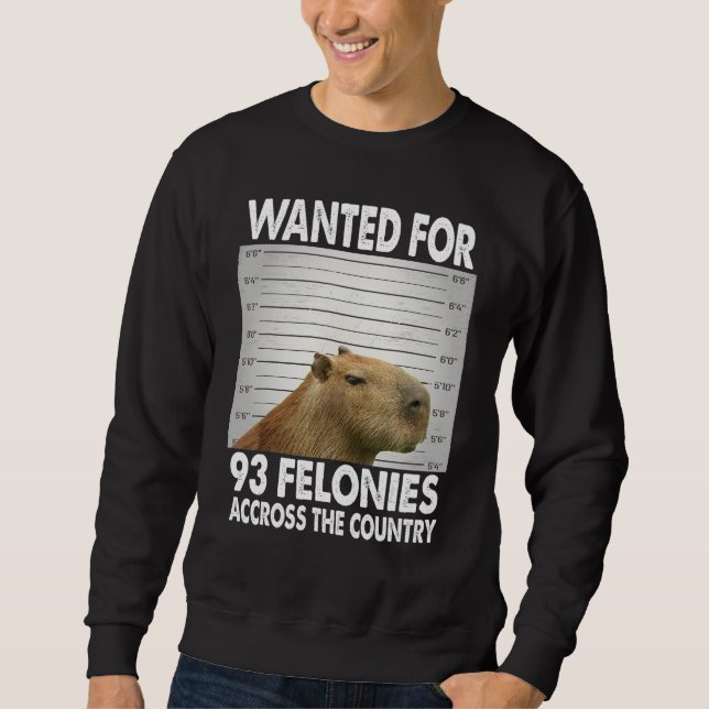 Capybara Mugshot Wanted For 93 Felonies Across The Sweatshirt (Vorderseite)