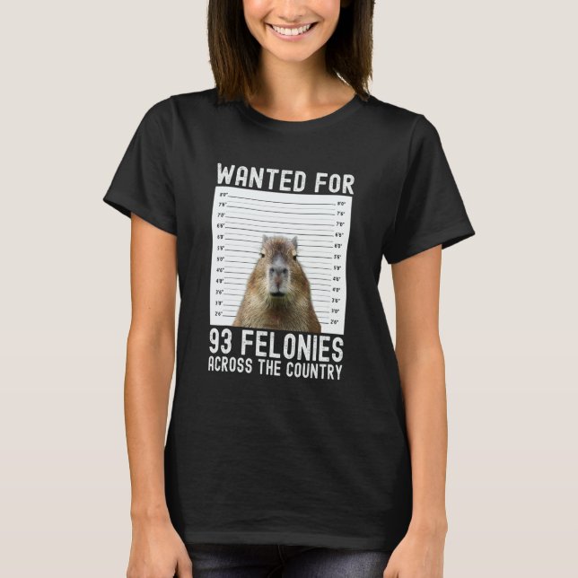 Capybara Mugshot Wanted For 93 Felonies Across The T-Shirt (Vorderseite)