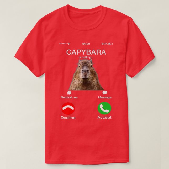 Capybara nennt Funny Capibara Animal Lover T-Shirt (Design vorne)