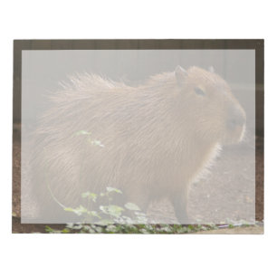 Capybara Notizblock