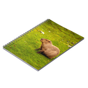 Capybara Notizblock