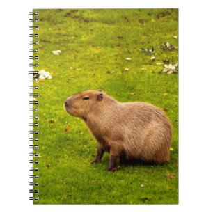 Capybara Notizblock