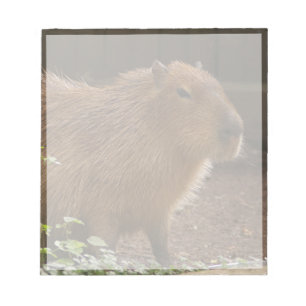 Capybara Notizblock