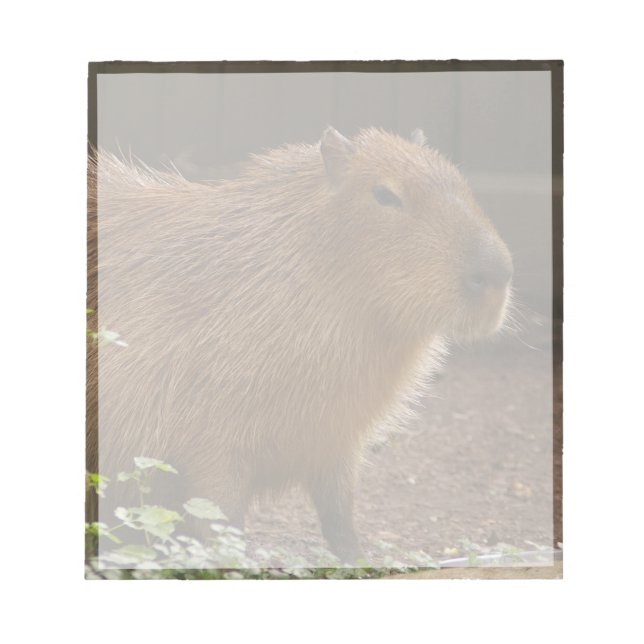 Capybara Notizblock (Vorderseite)