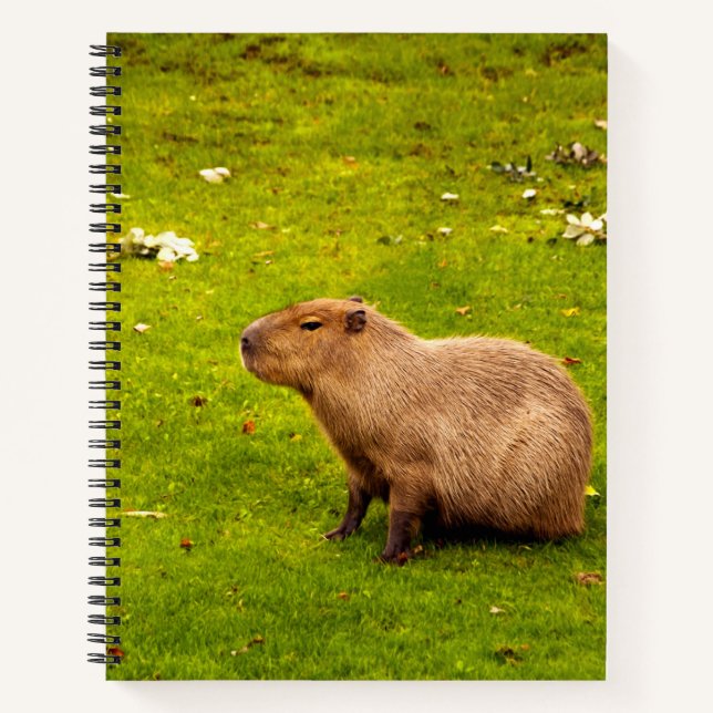 Capybara Notizbuch (Vorderseite)