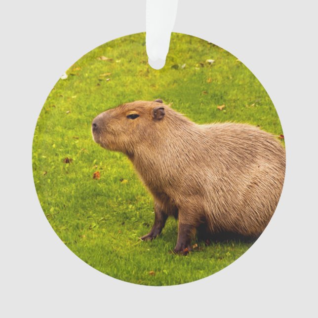 Capybara Ornament (Vorderseite)