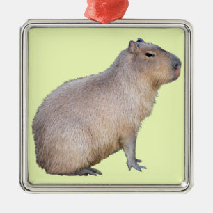 Capybara Ornament Aus Metall