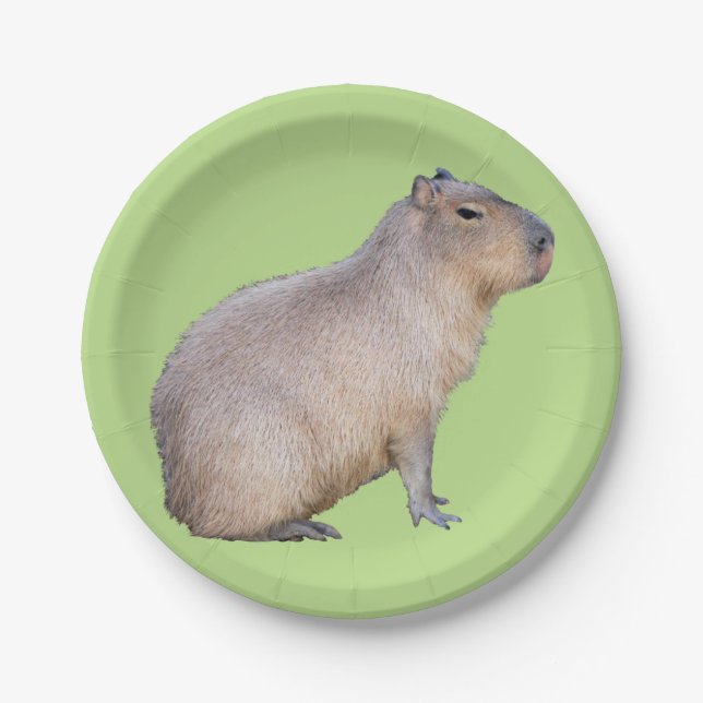 Capybara Pappteller (Vorderseite)