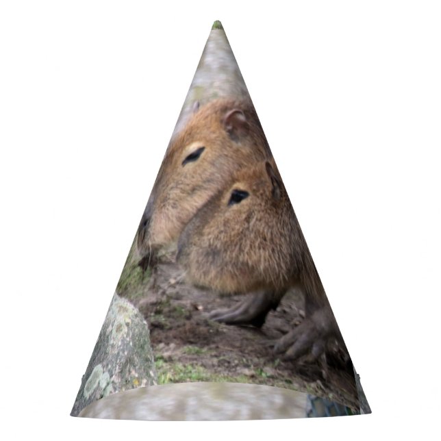 Capybara Partyhütchen (Vorderseite)