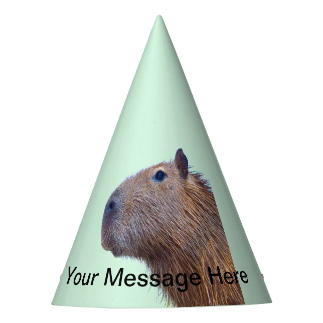 Capybara Partyhütchen (Vorderseite)