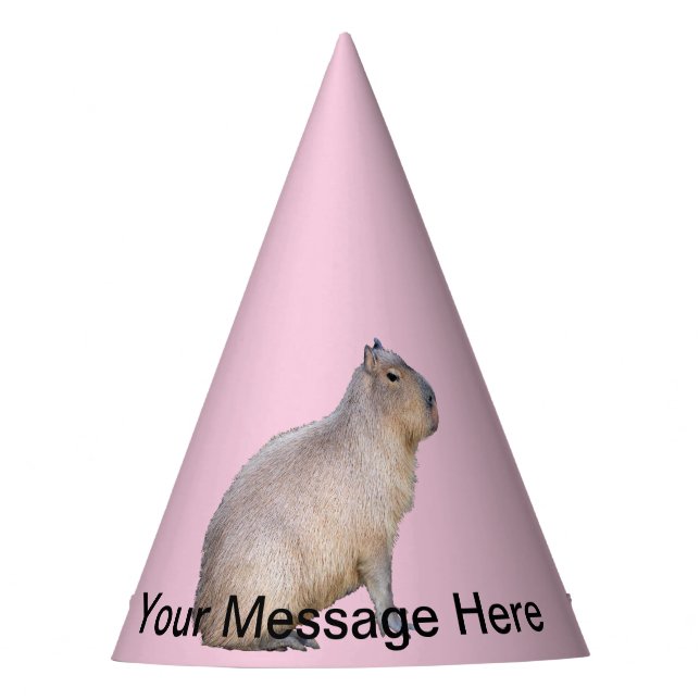 Capybara Partyhütchen (Vorderseite)