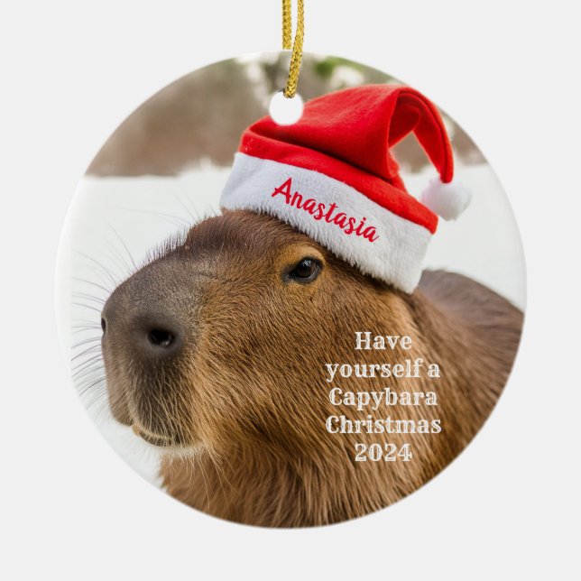 Capybara Personalisierte Weihnachtsfeier Keramik Ornament (Vorne)