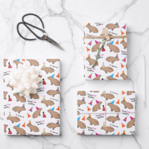 Capybara Personalisierter Kindergeburtstag Weiß Geschenkpapier Set