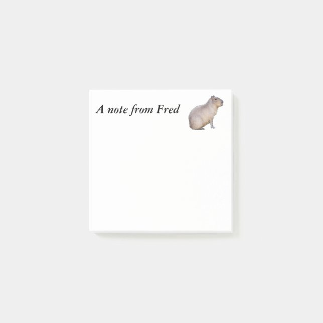 Capybara Post-it Klebezettel (Vorderseite)