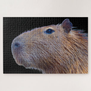 Capybara Puzzle
