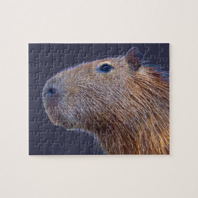 Capybara Puzzle (Horizontal)