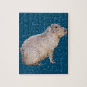 Capybara Puzzle